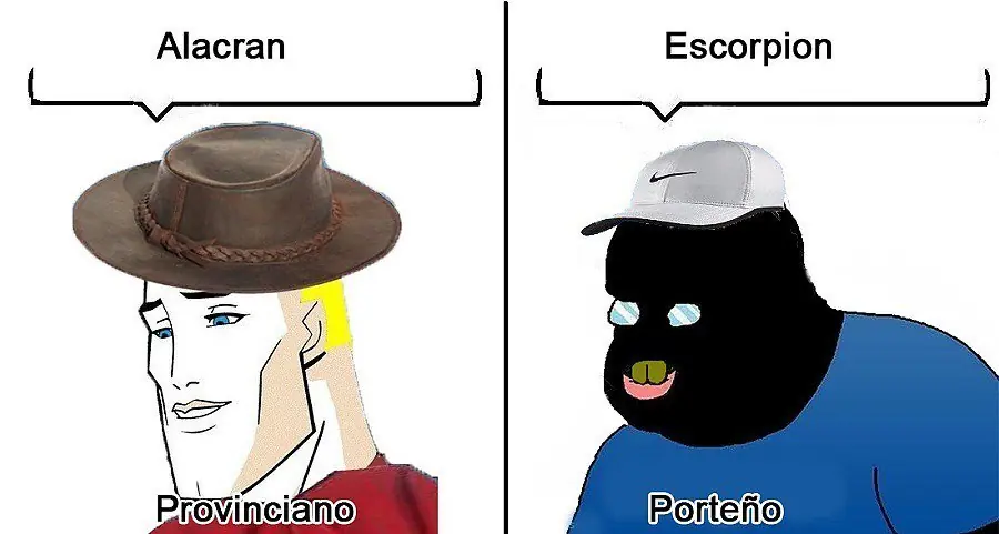5 consejos para evitar a los alacranes en tu casa