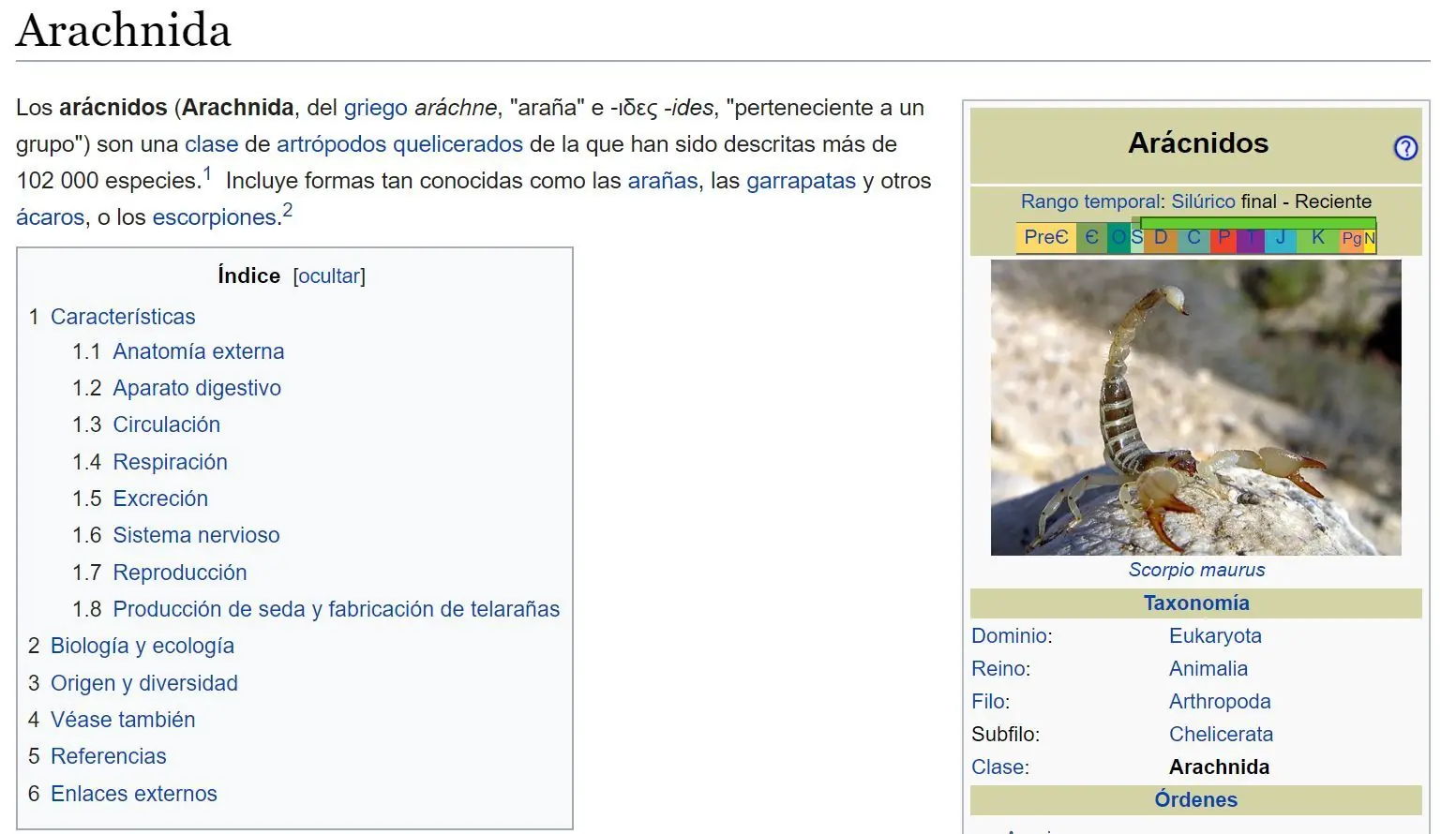 5 consejos para evitar a los alacranes en tu casa