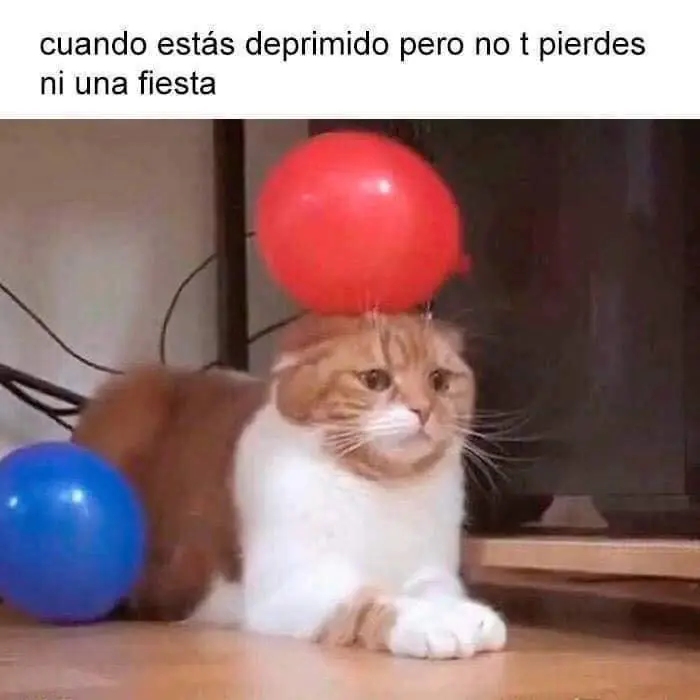 linces