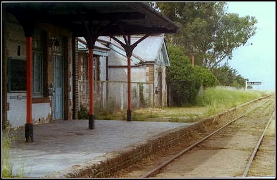 Como el Peronismo arruinó el tren (inteligencia colectiva)