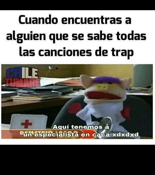 Típicas imágenes graciosas V