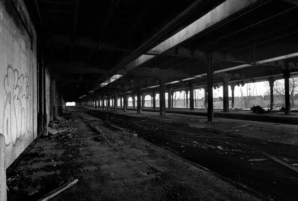 Como el Peronismo arruinó el tren (inteligencia colectiva)