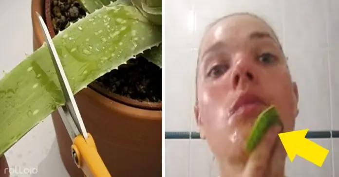 Aplica durante 7 dias Aloe Vera en tu cara y esto sucedera