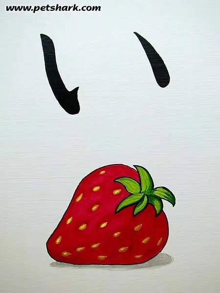 Pinturas