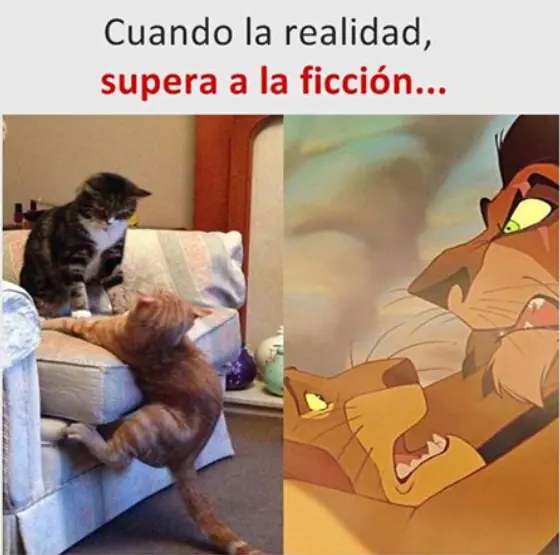 Fotos