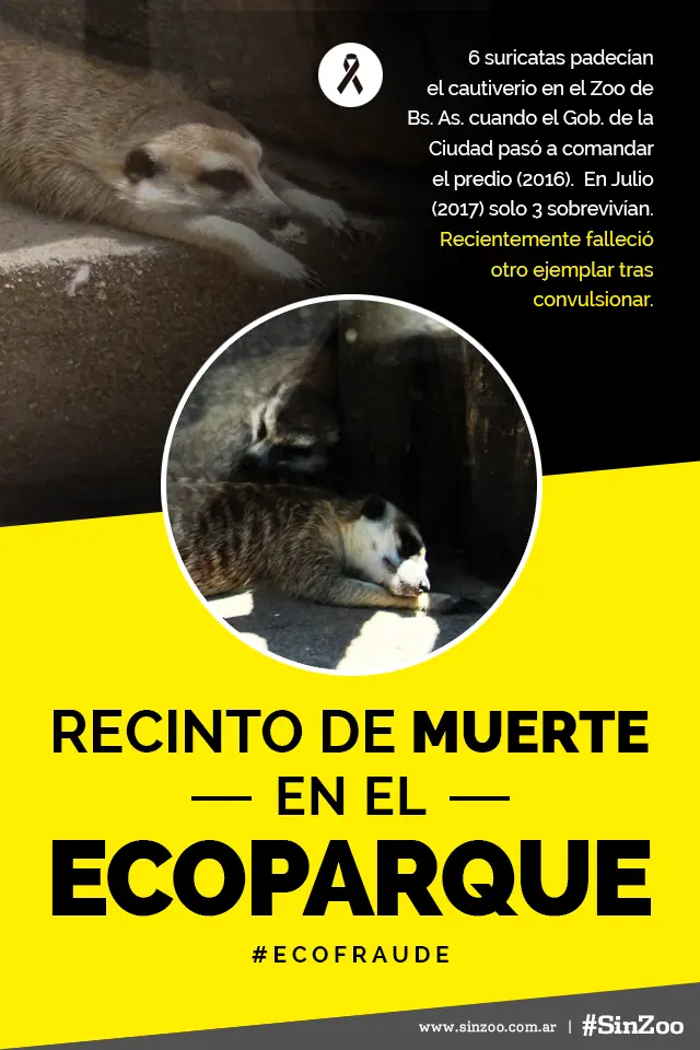Animalista vegano se te rieron en la cara!