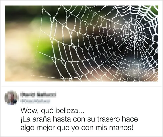 25+ Comentarios qe pueden formar una buena guía del sarcasmo
