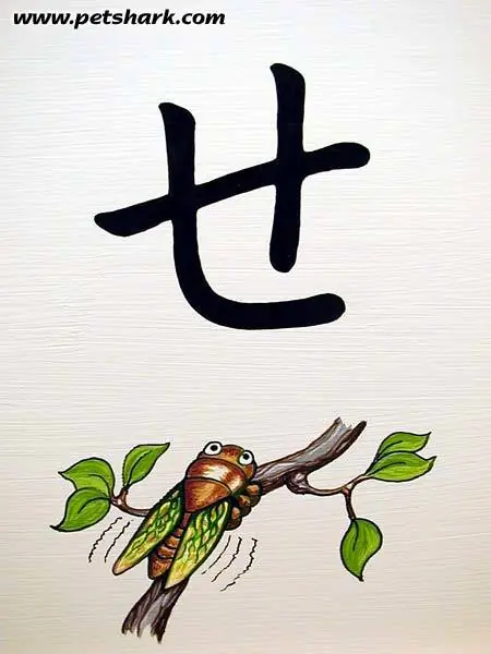 Ilustraciones de fantasía en un mural de hiragana