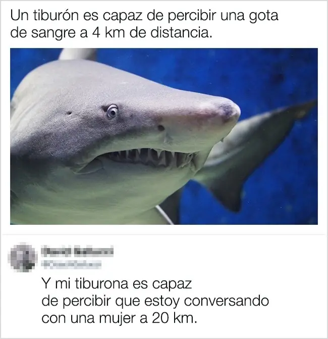 respuestas