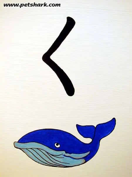 Mural