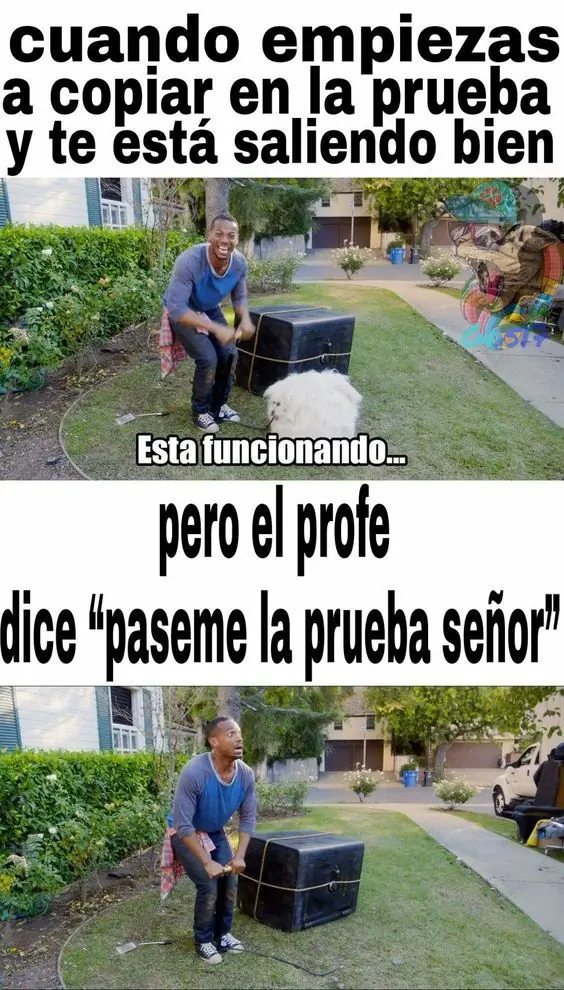 Risa