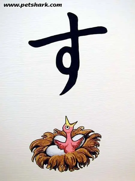 Arte