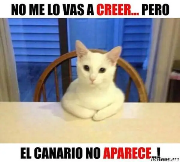 Mejoraran