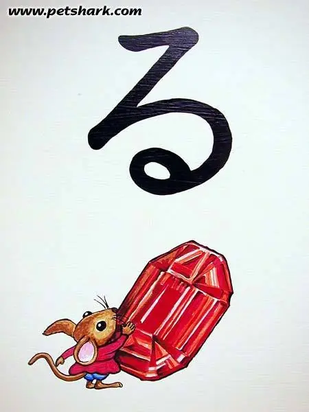 Arte