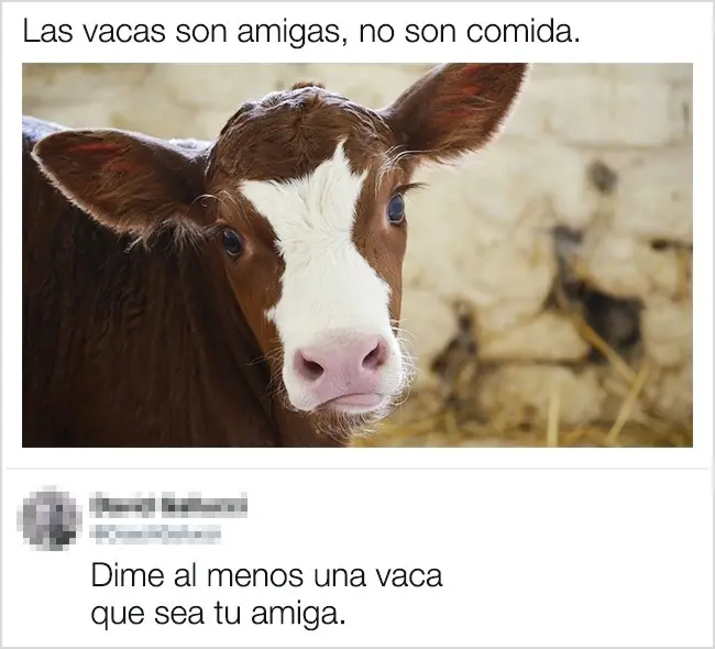 guia