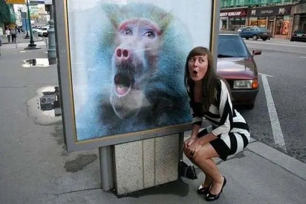 humor