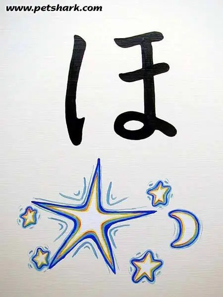 Pinturas