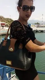 taringuero