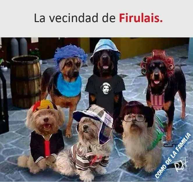 Miércoles de momos!