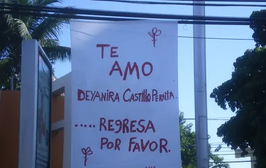 llevaron