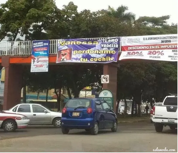 declaracion