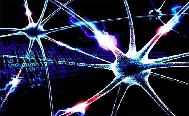 Que son las redes neuronales? pasa y te muestro