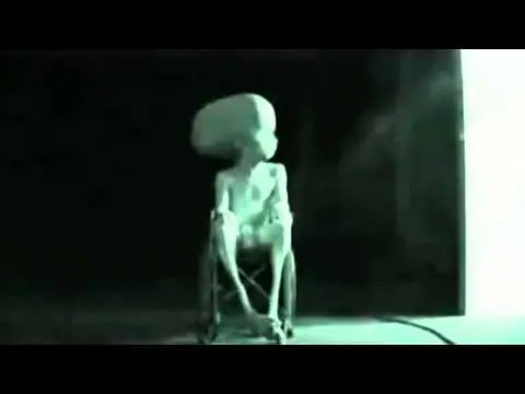 terror