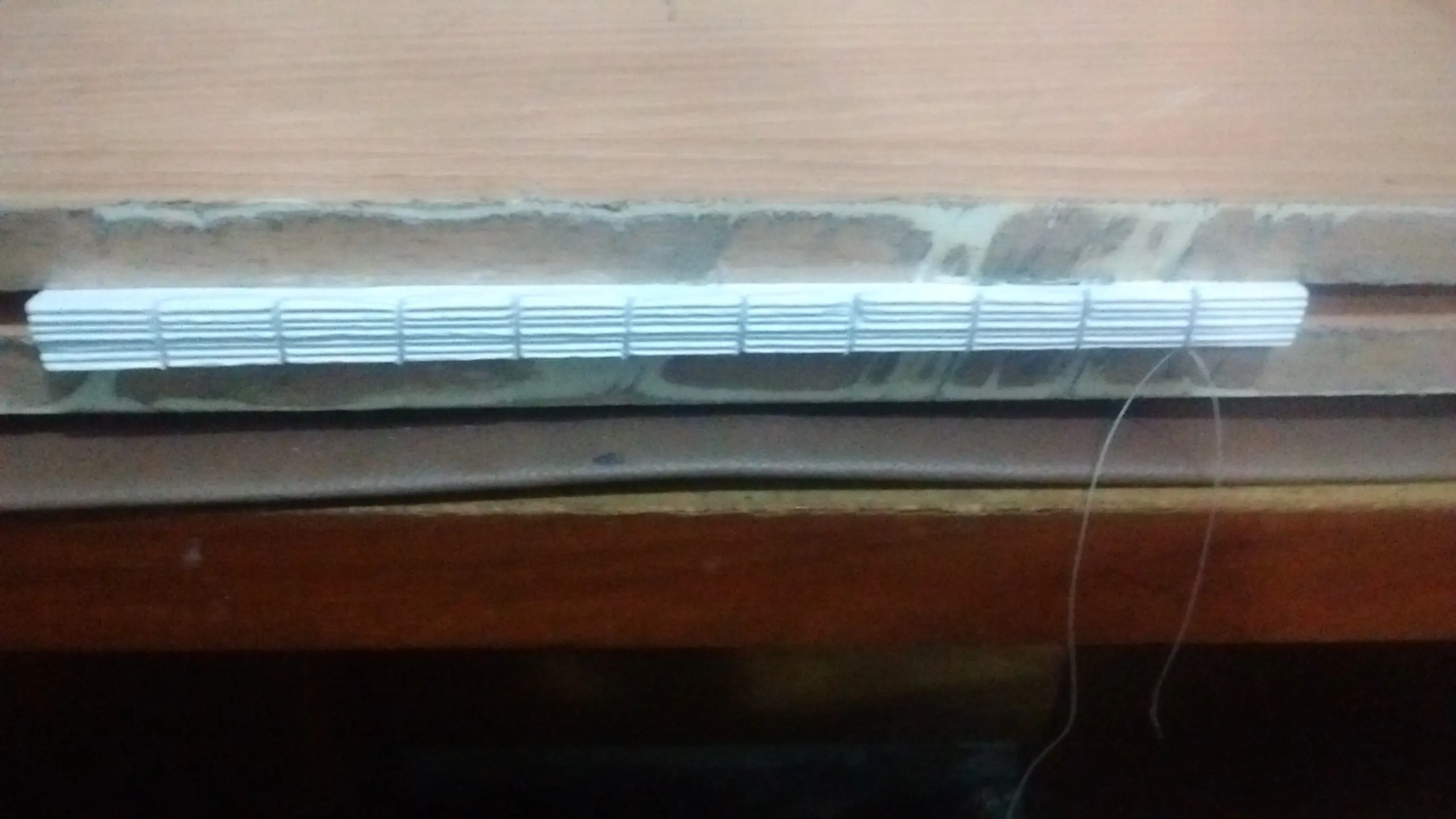 Mi diario nuevo