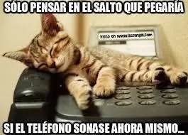 memes
