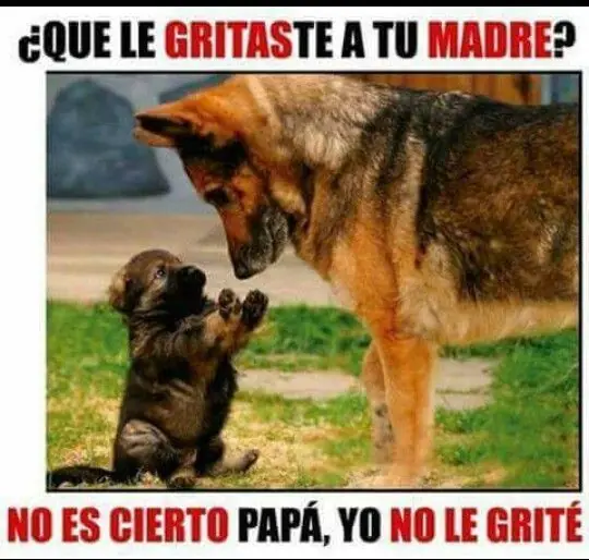 tierno