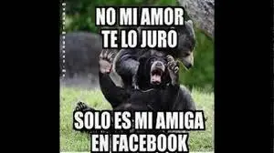 memes