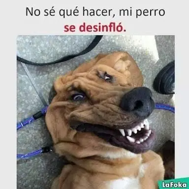 divertido