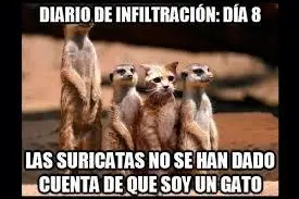 tierno