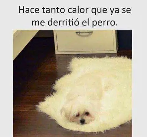 ULTIMO