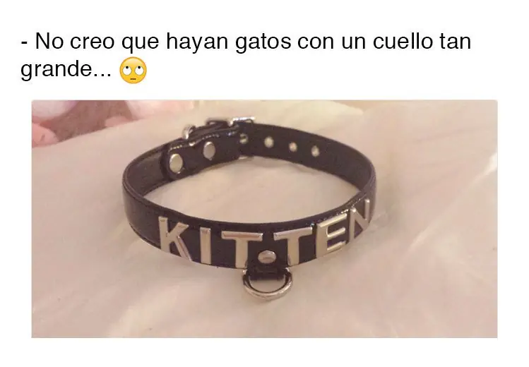 Humor: 12 Personas que tienen su inocencia intacta