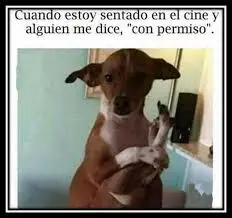 animales