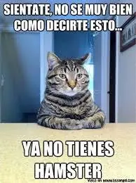 divertido