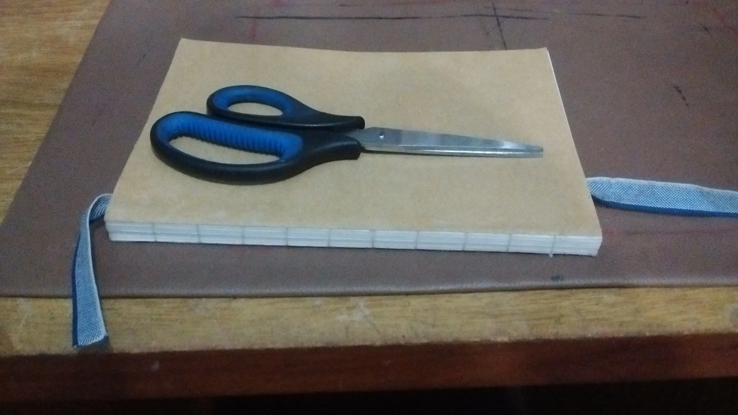 Mi diario nuevo