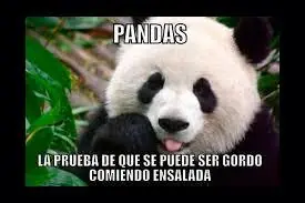 tierno