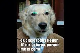 divertido
