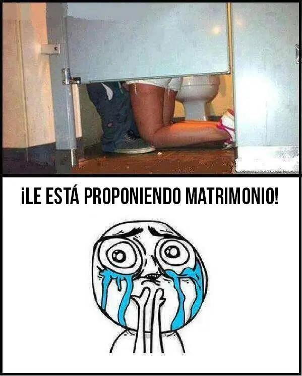 intacta