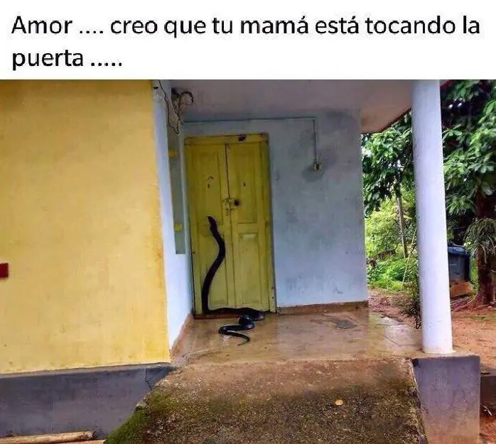 humor