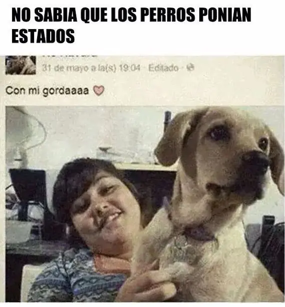 HUMOR