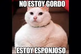 divertido