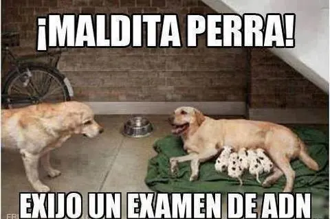 tierno