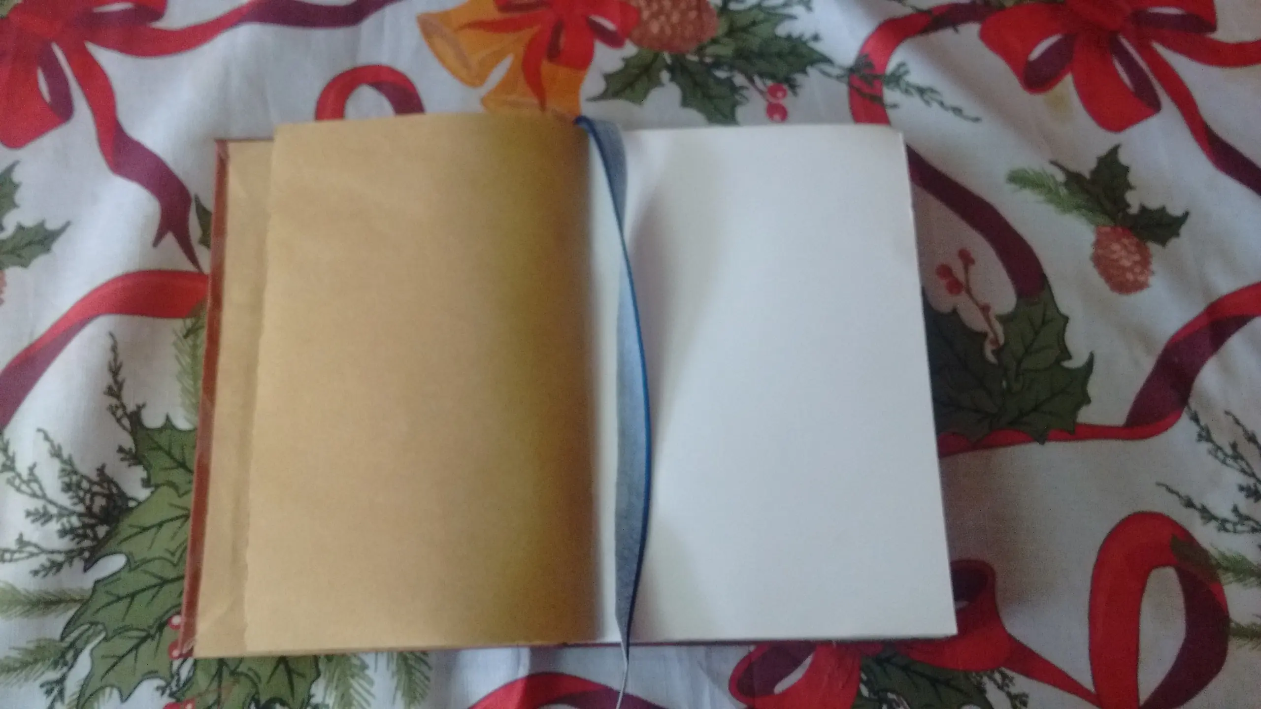 Mi diario nuevo