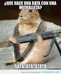 Memes de animales mas tiernos y divertidos