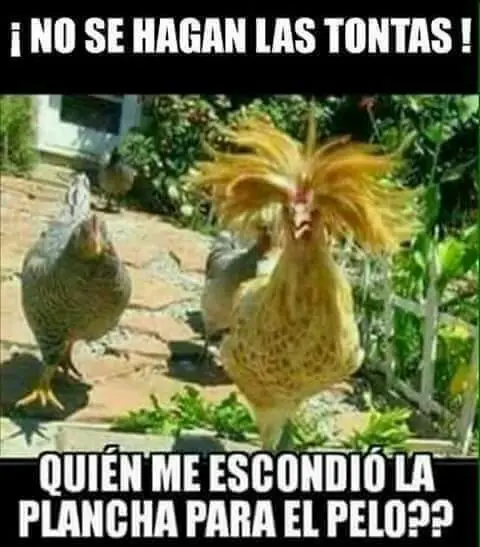 DEFINITIVO