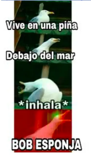 Esto fue lo que pasó en 2017 en Taringa!