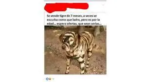 publicaciones